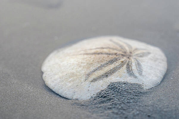 Washed up by Bryan Xavier Washed up by Bryan Xavier
