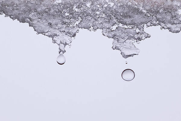 Wall Art - Photograph - Water Drops by Mary Lee Dereske