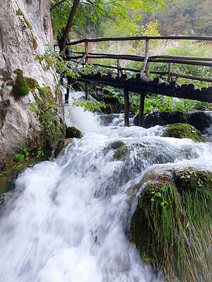 Wall Art - Photograph - Water Under The Bridge by Andrea Whitaker