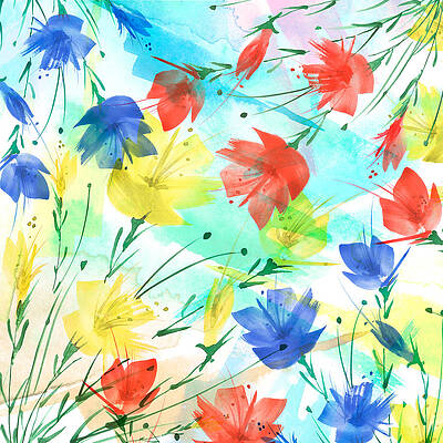 Dragonfly Watercolor Splash Women's Tee Image by Shutterstock