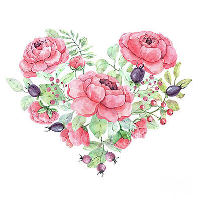 Rose Bouquet Drawings Fine Art America Roses and lily flowers bunch illustration stock illustrationby popmarleo8/1,858. rose bouquet drawings fine art america
