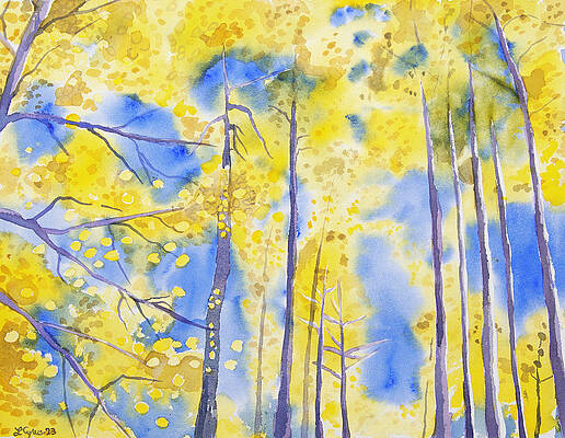Wall Art - Painting - Watercolor - Golden Aspen and Bluebird Sky by Cascade Colors