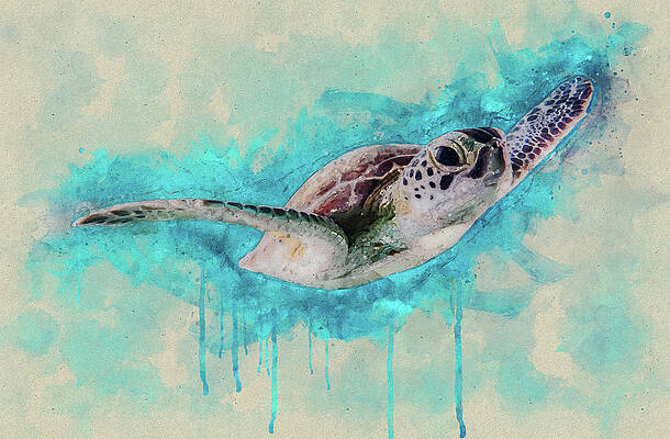 Watercolor Sea Turtle by Davide Checchini