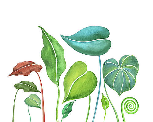 Colorful Tropical Plants Paintings Fine Art America