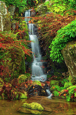 Wall Art - Digital Art - Waterfall at Kubota Garden by Michael Lee