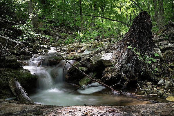 Wall Art - Photograph - Waterfall Cascading into a Pool in a Forest by John Twynam