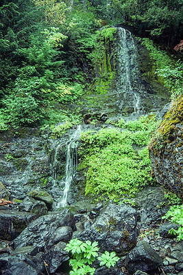 Waterfall, Wahington by MaryJane Sesto Waterfall, Wahington by MaryJane Sesto