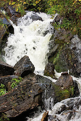 Waterfall Woodlands Picture by Gwen Gibson Waterfall Woodlands Picture by Gwen Gibson