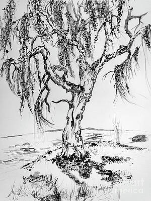 Abstract natural black anf white sketch of willow tree hand drawn 13863496  Vector Art at Vecteezy
