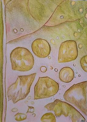 Wet leaf by Monica Lee Wet leaf by Monica Lee