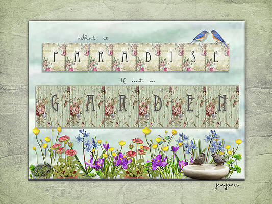 What is Paradise by Jan Jones What is Paradise by Jan Jones