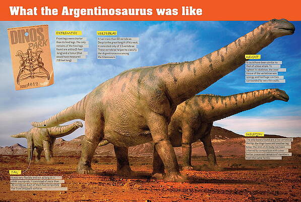 Wall Art - Digital Art - What the Argentinosaurus was like by Album