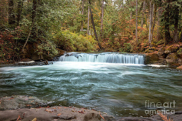 Wall Art - Photograph - Whatcom Falls Autumn 3 by Cindy Shebley