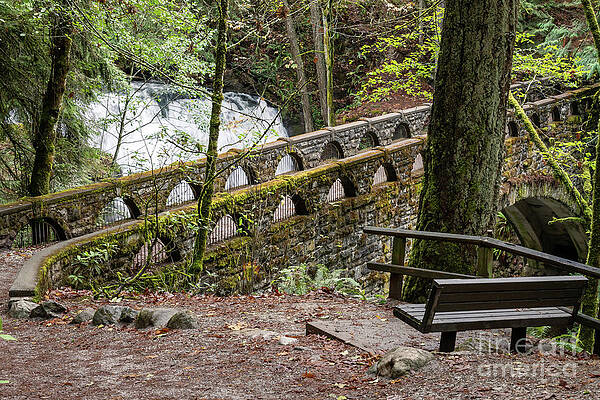 Wall Art - Photograph - Whatcom Falls Bridge Autumn by Cindy Shebley