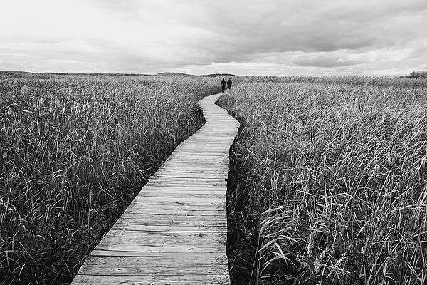 What's Beyond? by Jeff Kantorowski