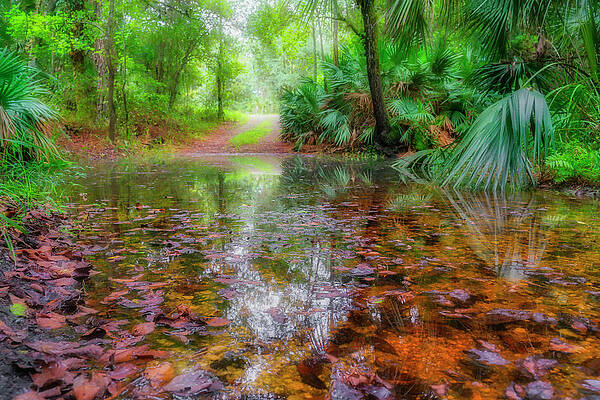 Where the River Meets the Road by Charles LeRette Where the River Meets the Road by Charles LeRette