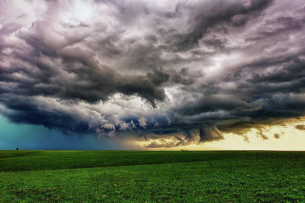 Where the Sky Goes Dark by Dave Leiker Where the Sky Goes Dark by Dave Leiker