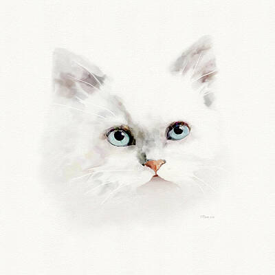 Wall Art - Digital Art - White Cat with Blue Eyes by Bamalam Art
