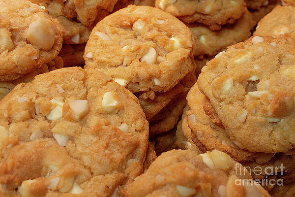 White Chocolate Macadamia Nut Cookies Stacks of Goodness by Stephen Thomas
