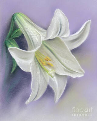 White Easter Lily Blossom on Purple by MM Anderson White Easter Lily Blossom on Purple by MM Anderson