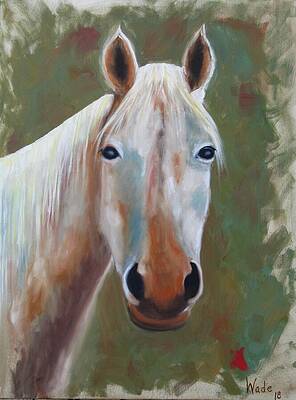 White Horse by Craig Wade