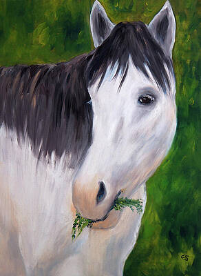 White Horse by Evelyn Snyder White Horse by Evelyn Snyder