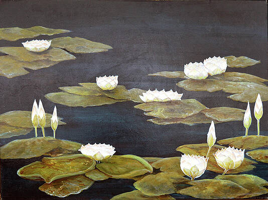 White Lotus by Thu Nguyen White Lotus by Thu Nguyen