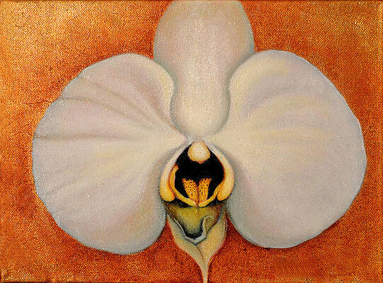 White Orchid on Gold Leaf by Anni Adkins White Orchid on Gold Leaf by Anni Adkins