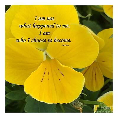 Who I Choose to Become by Barbara Griffin Who I Choose to Become by Barbara Griffin