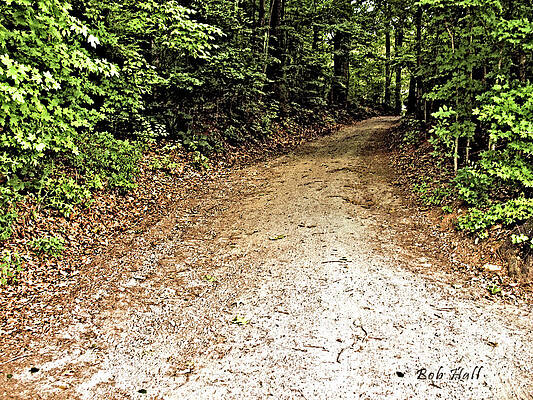 Who Knows What's Around the Bend... by Bob Hall Who Knows What's Around the Bend... by Bob Hall