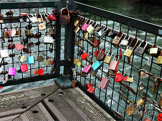 Wall Art featuring the photograph Whole Lotta Love by Rick Locke - Out of the Corner of My Eye