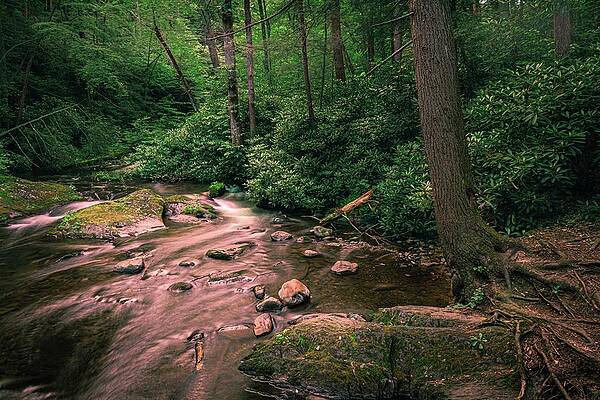 Wild Creek Cove from Bridge by Jason Fink Wild Creek Cove from Bridge by Jason Fink