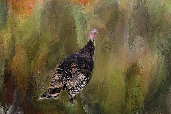 Wild Turkey Fine Art Print 11 x 14 Limited Edition Flying Birds "First Light" 
