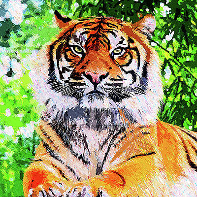 Royal Bengal Tiger Paintings Pixels