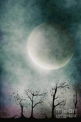 Wilderness by Benjamin Harte Wilderness by Benjamin Harte