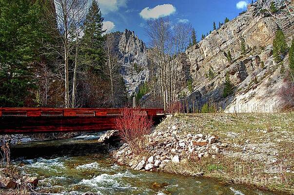 Wilderness Bridge by Steve Brown Wilderness Bridge by Steve Brown