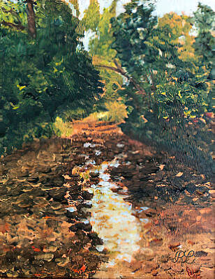 Wildwood Creek by Ruben Carrillo Wildwood Creek by Ruben Carrillo