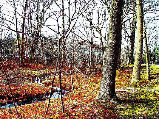 Wildwood II by Cliff Wilson Wildwood II by Cliff Wilson