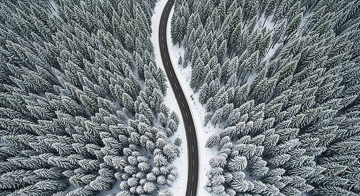 Travel Wall Art featuring the ai art Winding Road Through Snowy Forest by The Luxury Art Collection