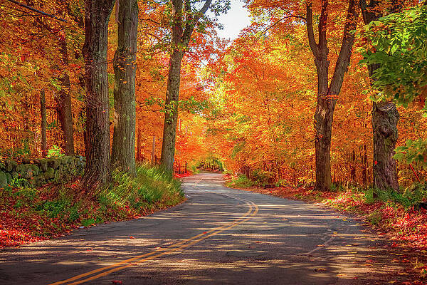 Winding Tunnel of Fall Color by Jeff Folger Winding Tunnel of Fall Color by Jeff Folger