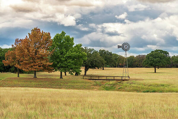 Wall Art - Photograph - Tree and Field - 07486 by Wall Art Of Texas