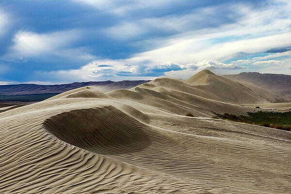 Windy Dunes by Harold Carlson Windy Dunes by Harold Carlson