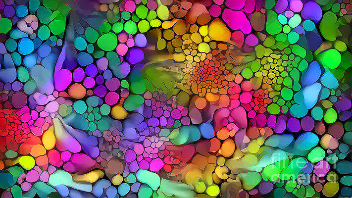 Rainbow Cat Drawings Fine Art America