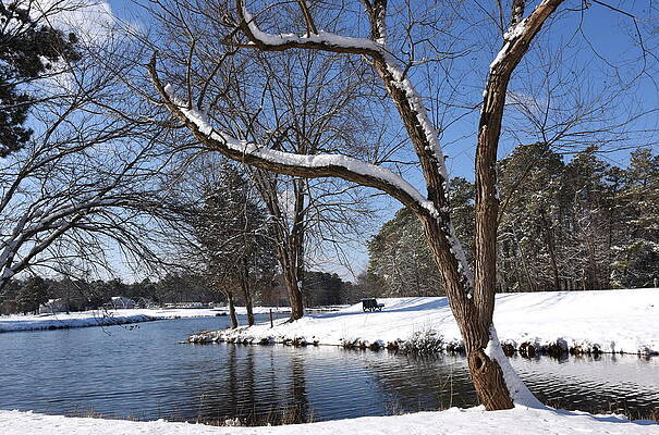 Winter 36 by Joyce StJames Winter 36 by Joyce StJames