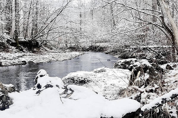 Winter At Daniel Boone National Forest by Ed Taylor Winter At Daniel Boone National Forest by Ed Taylor