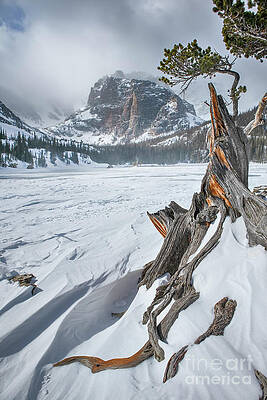 Winter at The Loch Vale by Ronda Kimbrow Winter at The Loch Vale by Ronda Kimbrow