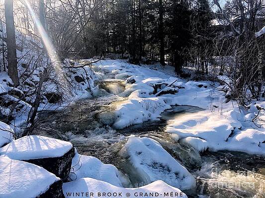 Winter Brook at Grand Mere by Stephan Burnett