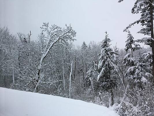 Wall Art - Photograph - Winter chill 2 by Lawrence Christopher