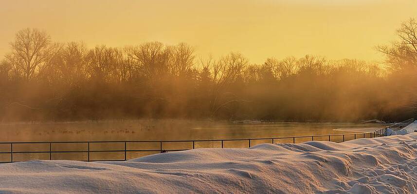 Winter Fog Over Trexler Park Pond by Jason Fink Winter Fog Over Trexler Park Pond by Jason Fink