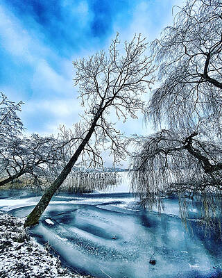 Winter in Denmark by Colette V Hera Guggenheim Winter in Denmark by Colette V Hera Guggenheim